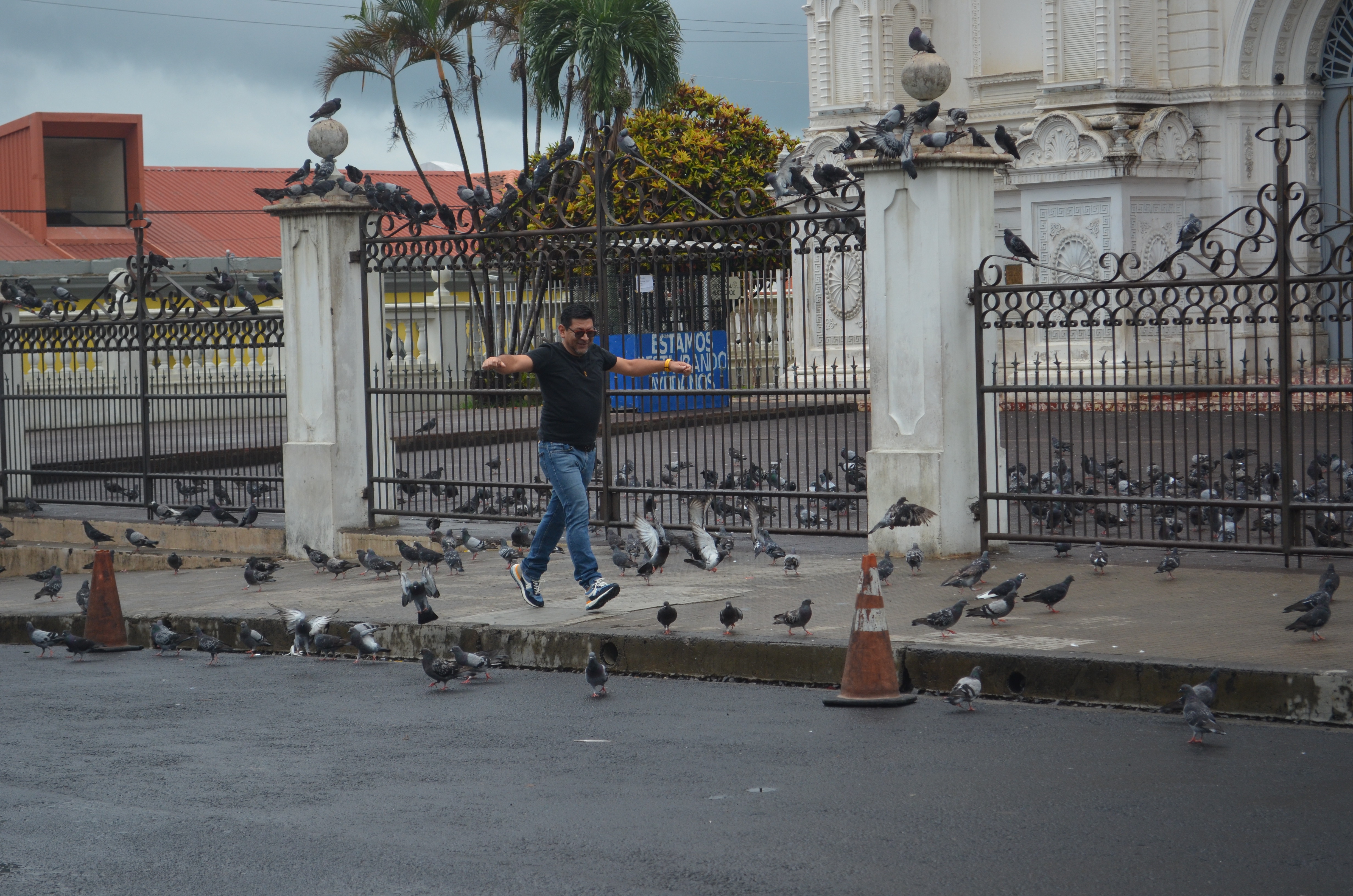 Pigeons taking flight outside a church in El Salvador
